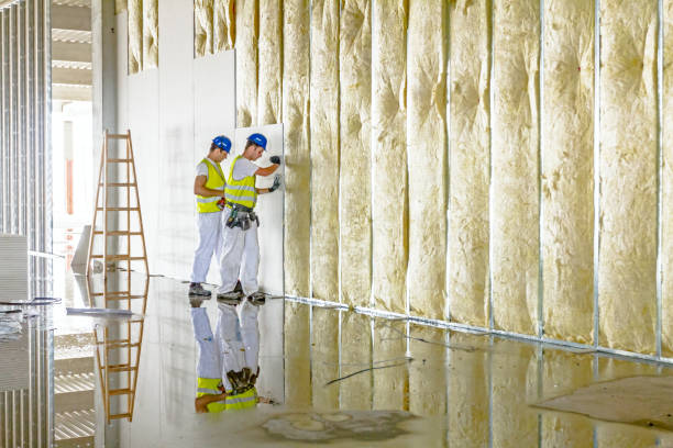 Best Residential Insulation in Machesney Park, IL